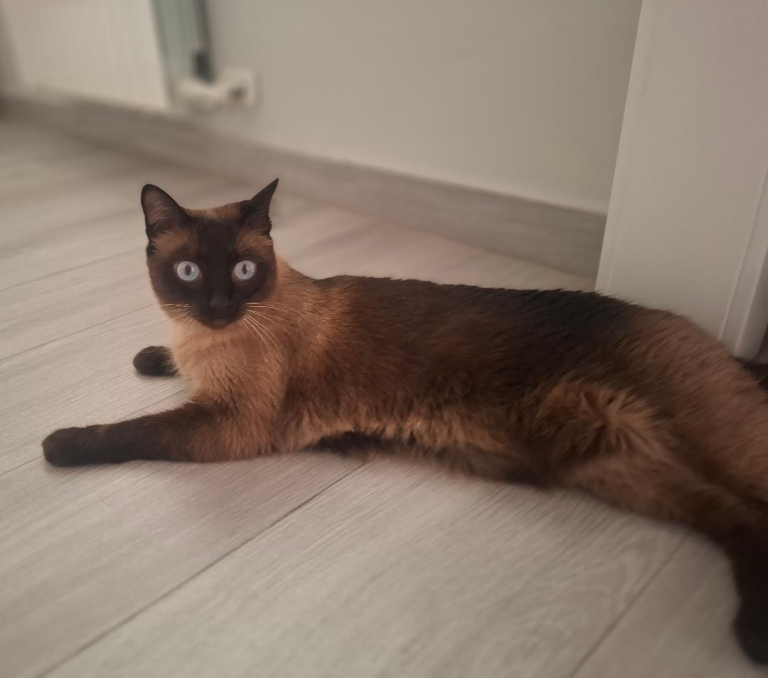 Luna post thumbnail image